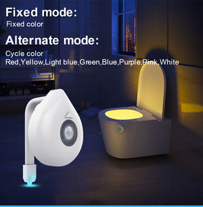 LED Toilet Seat Motion Sensor Light